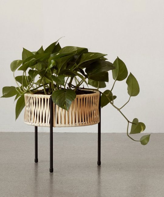 Entering the Southeast Asia E-commerce market: Why Shopee?