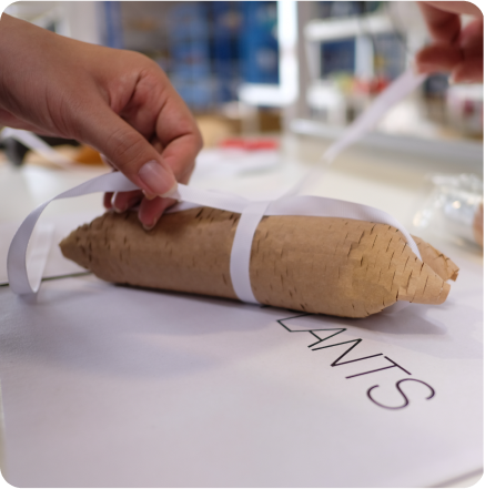 06_Eco-friendly packaging materials