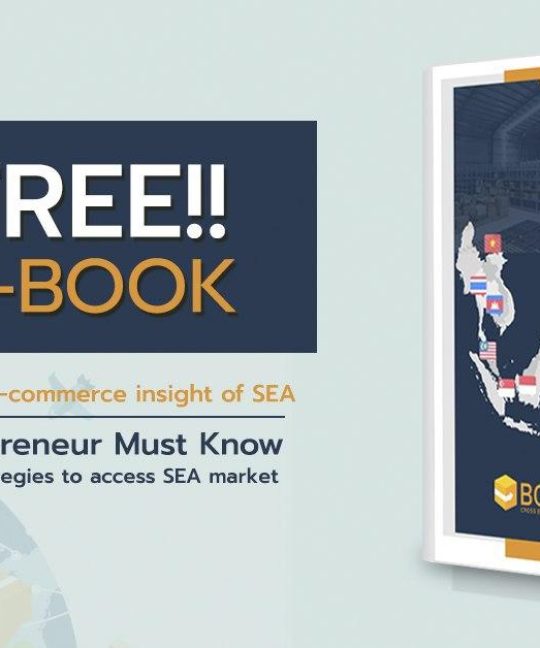 basic strategies to access SEA market