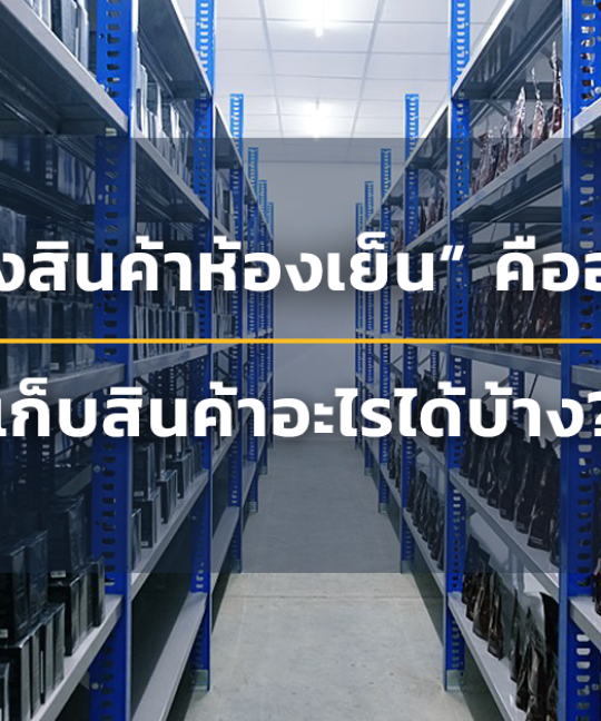 คลังสินค้าห้องเย็น cold storage คืออะไร เก็บสินค้าอะไรได้บ้าง