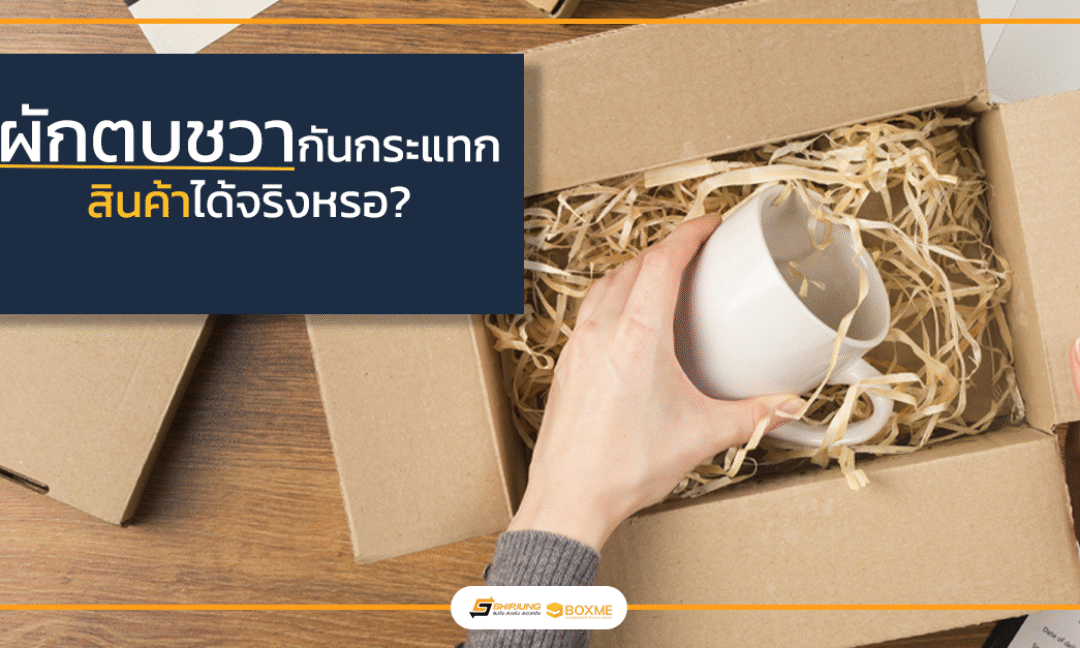 ผักตบชวากันกระแทก