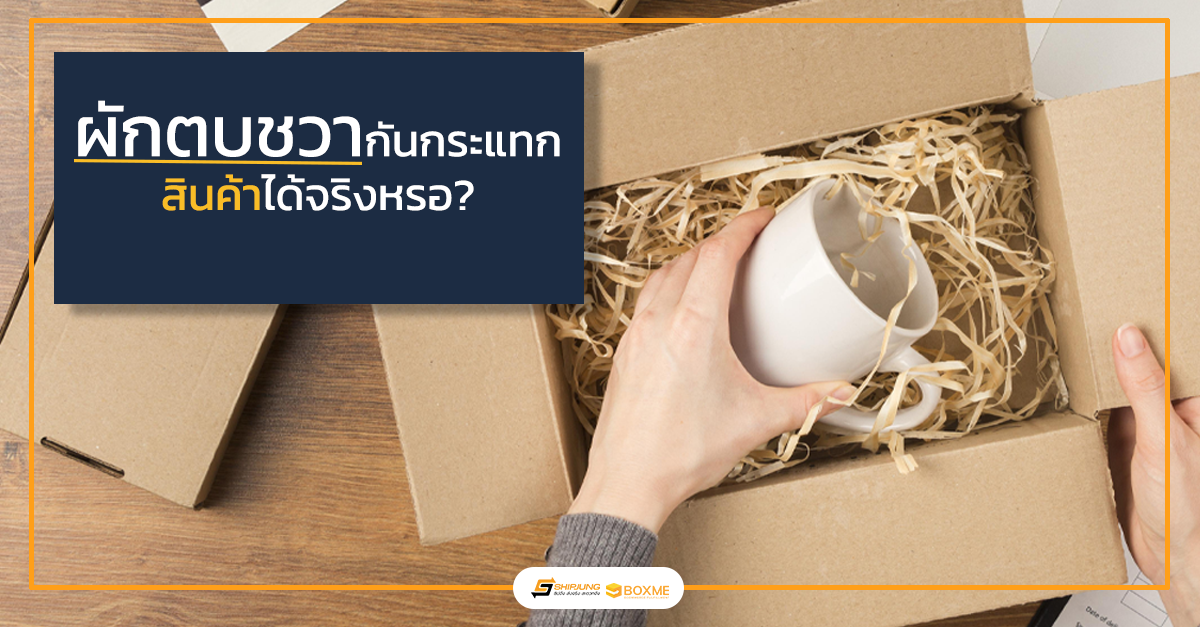 ผักตบชวากันกระแทก