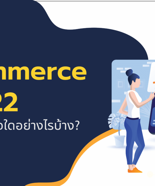 ตลาด E-commerce