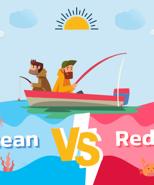 ไม่อ่านก็พลาดแล้ว! Red Ocean VS Blue Ocean แต่ละตลาดต่างกันอย่างไร