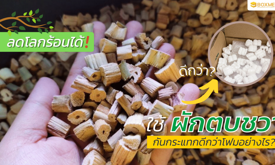 ลดโลกร้อนได้! ใช้ผักตบชวากันกระแทกดีกว่าโฟมอย่างไร