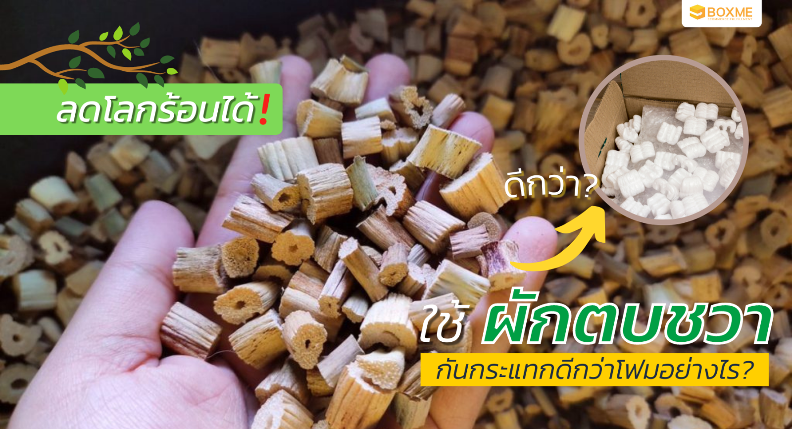 ลดโลกร้อนได้! ใช้ผักตบชวากันกระแทกดีกว่าโฟมอย่างไร