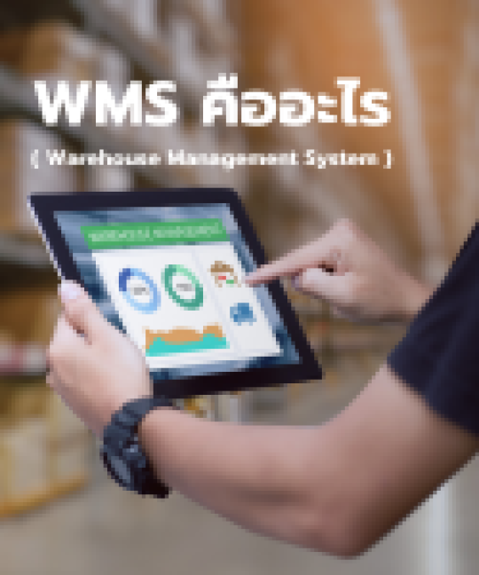 WMS คืออะไร? ระบบควบคุมคลังสินค้าที่นักธุรกิจควรรู้