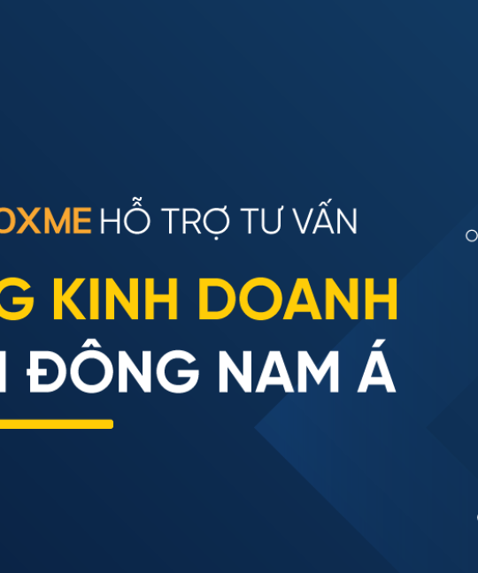 Recap: Chipo & Boxme hỗ trợ tư vấn mở rộng kinh doanh ra toàn Đông Nam Á