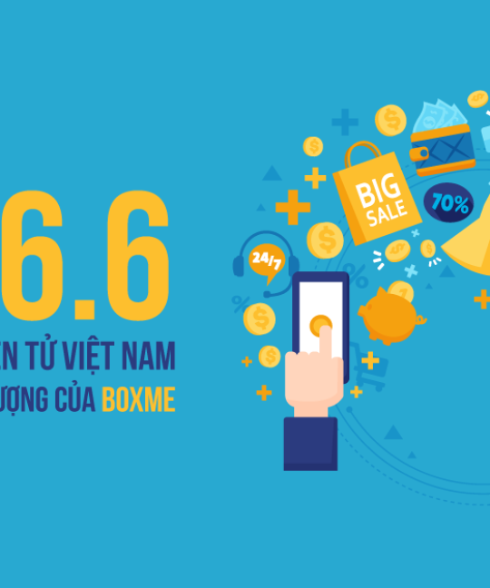 thuong-mai-dien-tu-viet-nam-6-6