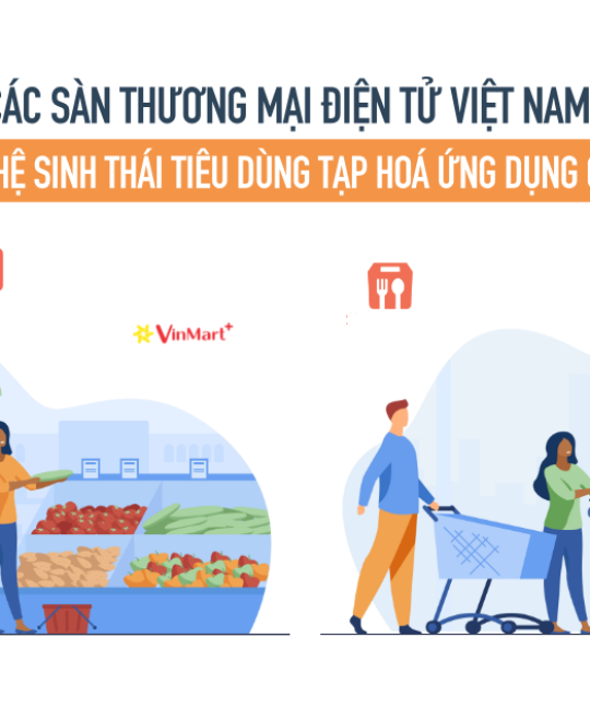 thuong-mai-dien-tu-viet-nam-thiet-lap-he-sinh-thai-tieu-dung-tap-hoa-ung-dung-cong-nghe
