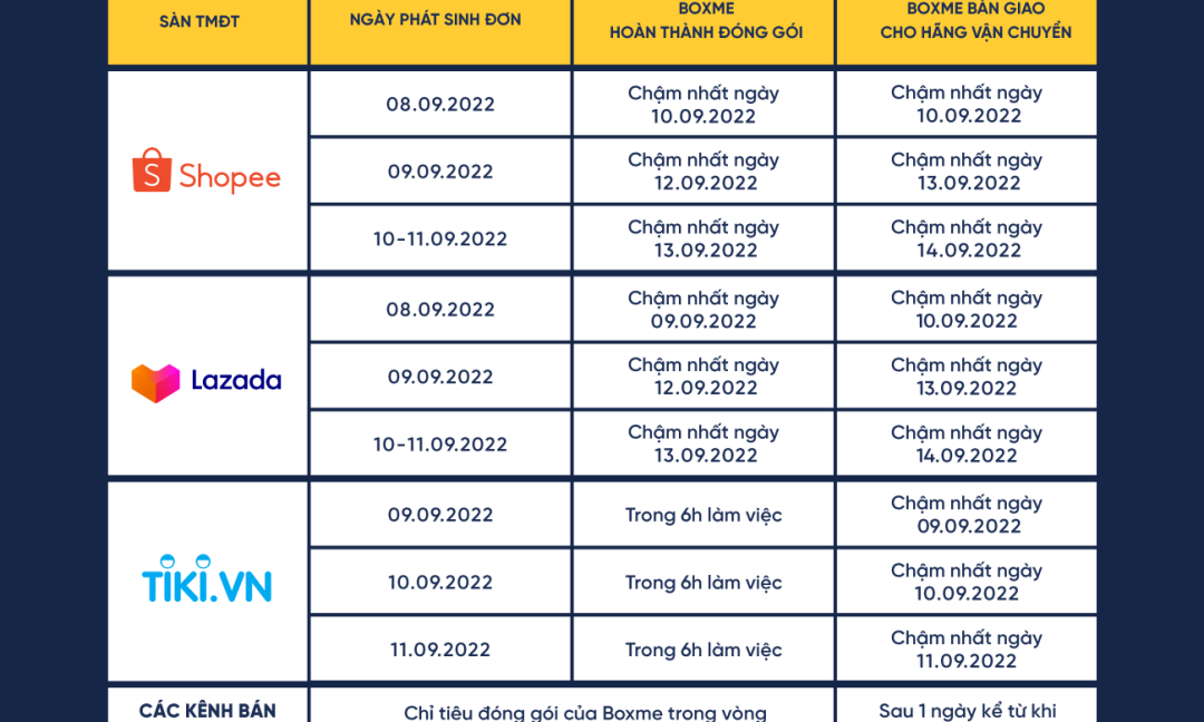 Chỉ tiêu vận hành đơn hàng Mega Sale 9/9