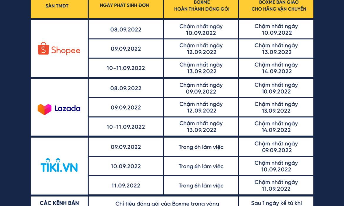 Chỉ tiêu vận hành đơn hàng Mega Sale 9/9