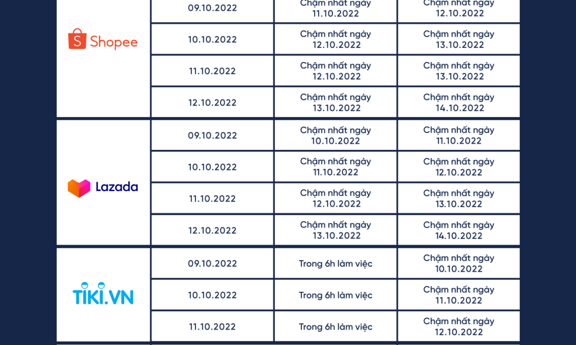 Chỉ tiêu vận hành đơn hàng MEGASALE 10/10